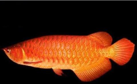 QQ截图20160802174033