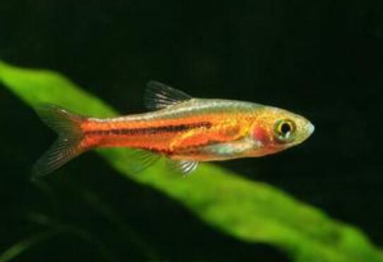 QQ截图20160802165004