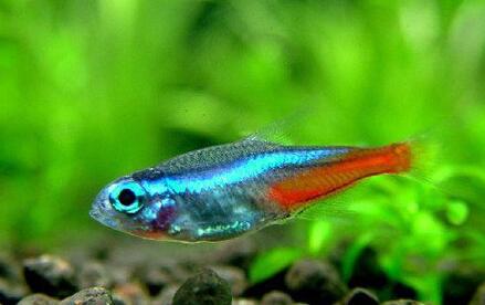 QQ截图20160802154454