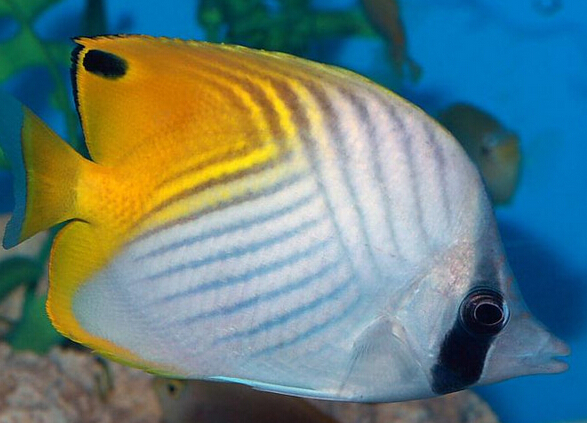 QQ截图20160802162614