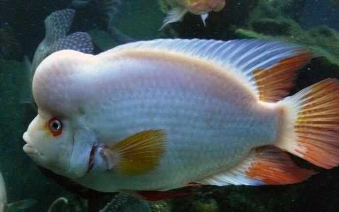 QQ截图20160802171623