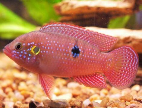 QQ截图20160802142827