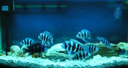 QQ截图20160802171929