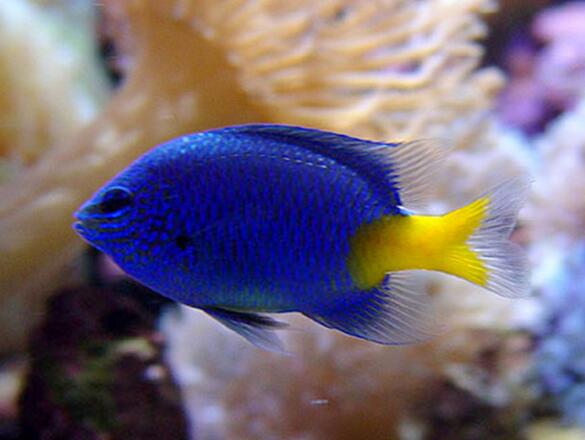 QQ截图20160802143415