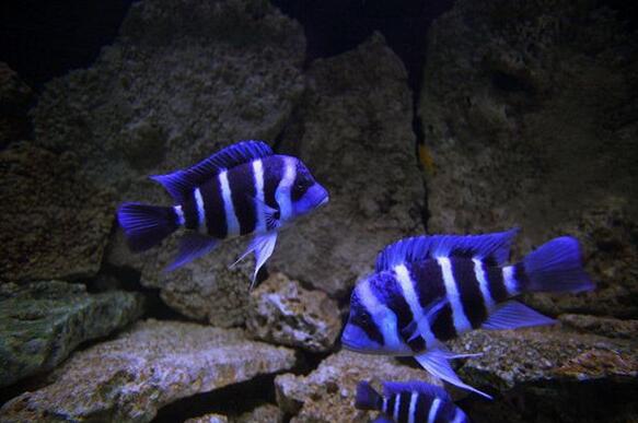 QQ截图20160802172049