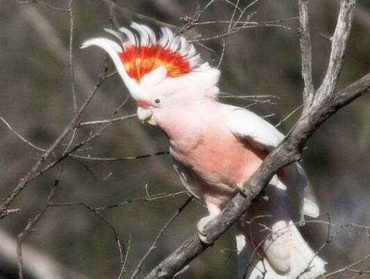 QQ截图20160802183521