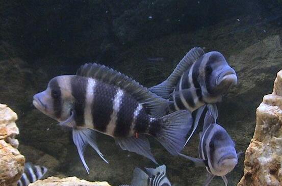 QQ截图20160802171935