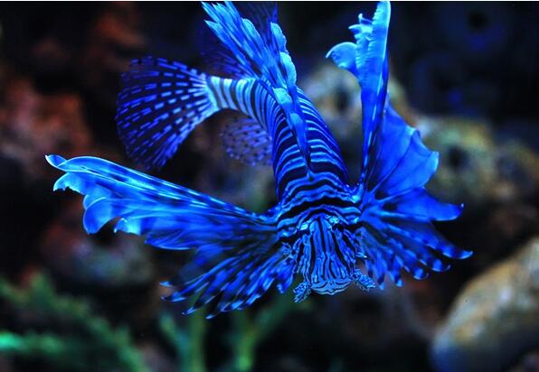 QQ截图20160802175553