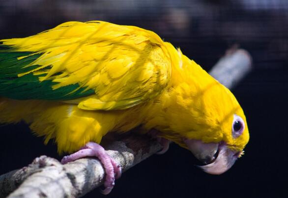 QQ截图20160802184455