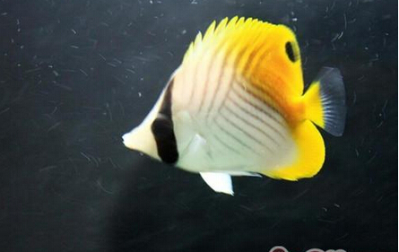 QQ截图20160802162611