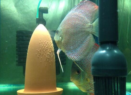 QQ截图20160802163856