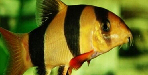 QQ截图20160802170640