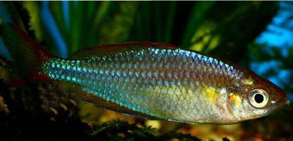 QQ截图20160802180432