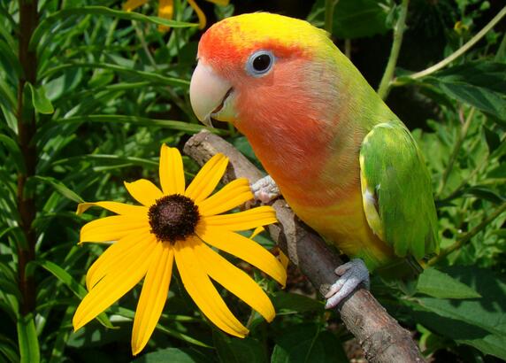 QQ截图20160802182603