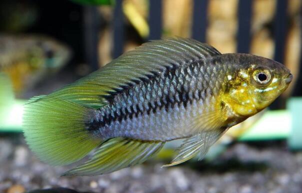 QQ截图20160802180714