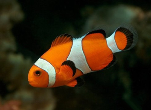 20140829092485948594