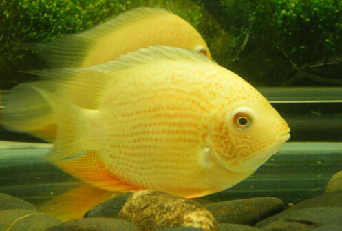 QQ截图20160802175349