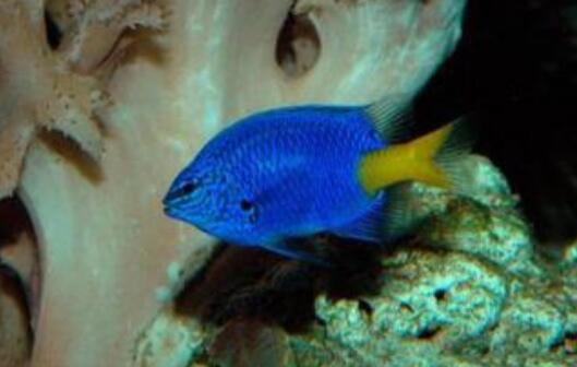 QQ截图20160802143638