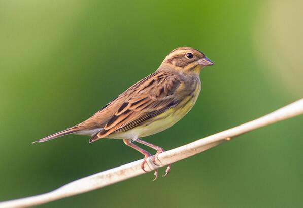 QQ截图20160802183157