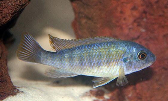 QQ截图20160802142021