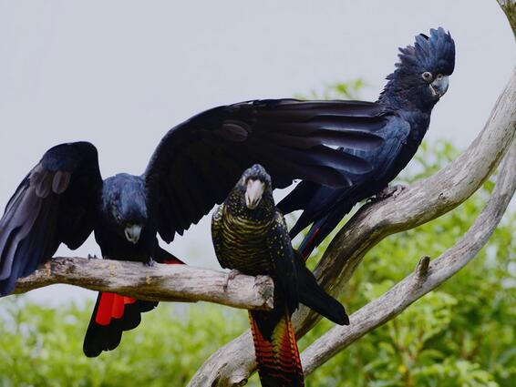 QQ截图20160802183654