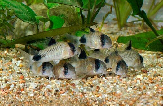 QQ截图20160802175123