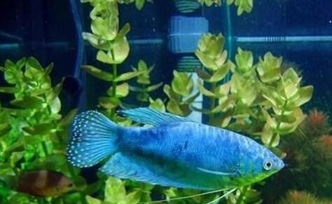 QQ截图20160802105243