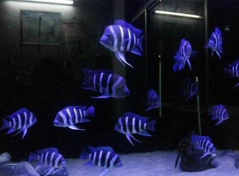 QQ截图20160802132141