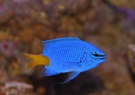 QQ截图20160802143435