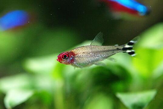 QQ截图20160802142256