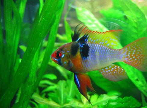 QQ截图20160802160349