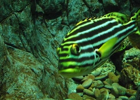 QQ截图20160802143853