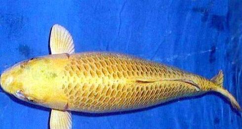 QQ截图20160802162746