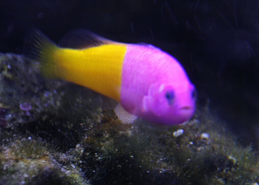 QQ截图20160802175959