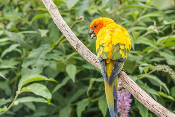 QQ截图20160802184102