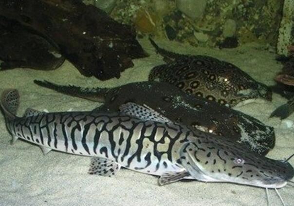 QQ截图20160802180026