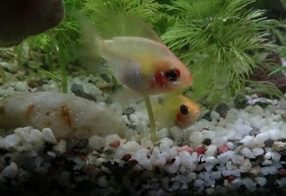 QQ截图20160802160353