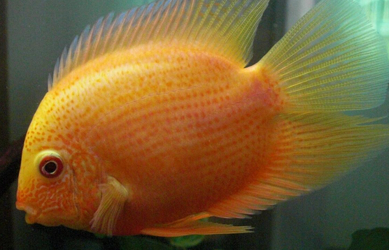 QQ截图20160802175344