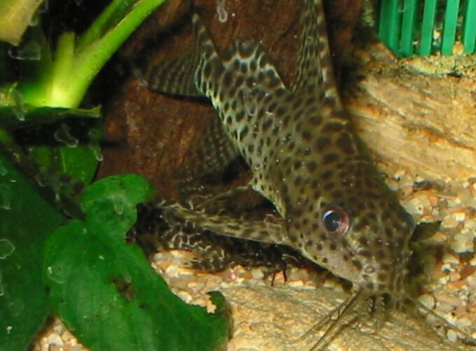 QQ截图20160802162400