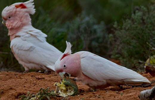 QQ截图20160802183515