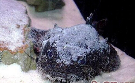 QQ截图20160802162032