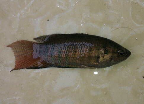 QQ截图20160802165250