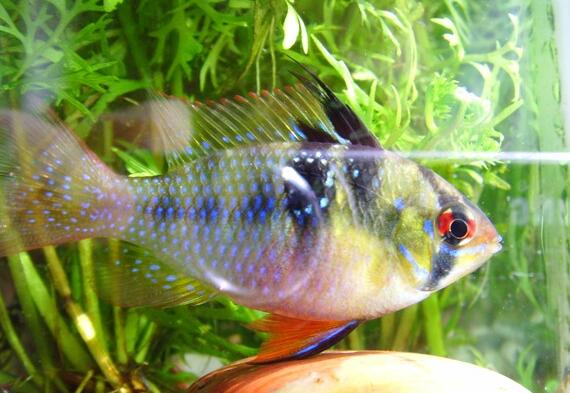 QQ截图20160802160619