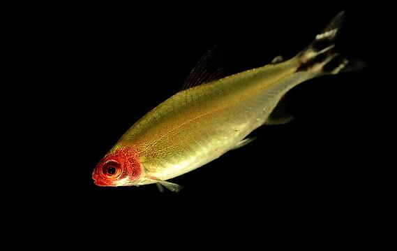 QQ截图20160802142304