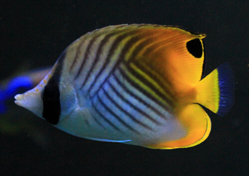 QQ截图20160802162602