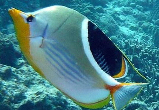 QQ截图20160802165641