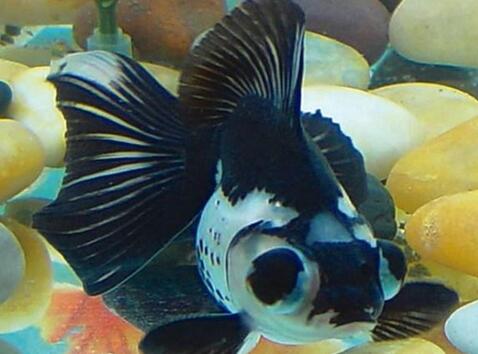 QQ截图20160802164010