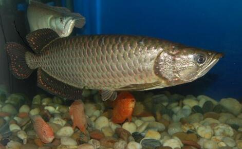 QQ截图20160802181816