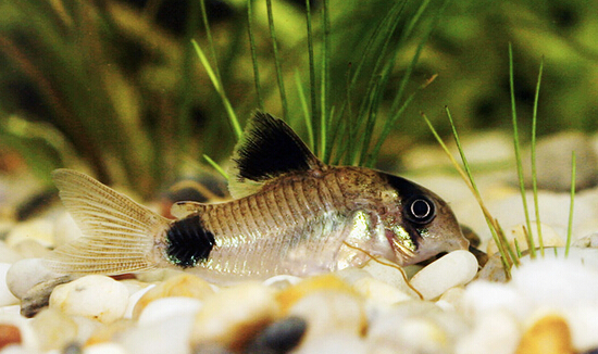 QQ截图20160802175135