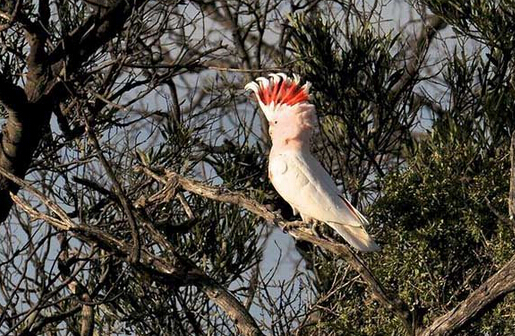 QQ截图20160802183518